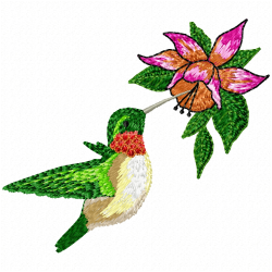 Hummingbirds Embroidery Design 12 Hummingbirds Embroidery Design 12